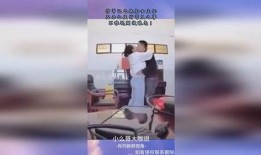 乡村办公室视频爆料,揭秘乡村发展背后的故事